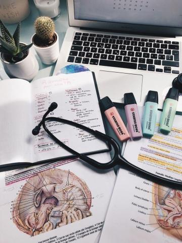 Anatomy Cappuccini Medical Student Motivation School