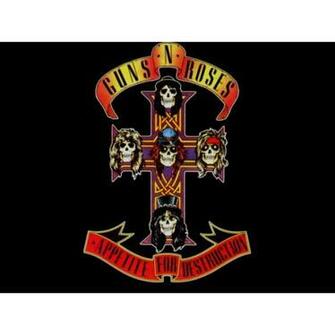 Appetite For Destruction