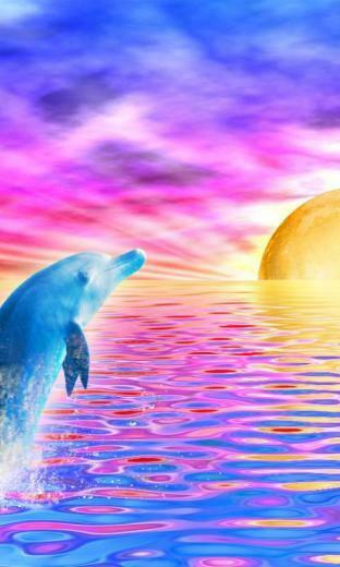 Rainbow Dolphin Live Wallpaper By Sharky Mobile Gmbh