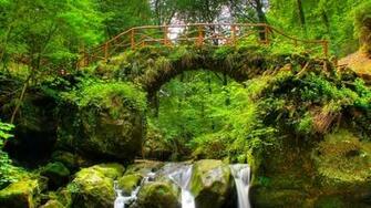 Green Forest Bridge Nature Desktop Pc Wallpaper