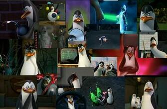 Kowalski Wallpaper Penguins Of Madagascar Photo