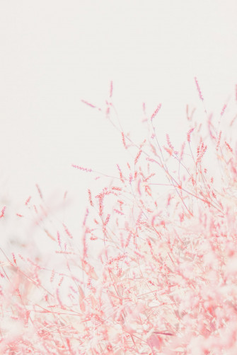 Pastel Wallpaper HD Hq