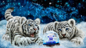 Cool Cute Wallpaper