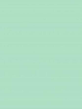 iPad Solid Mint Background Tangerine