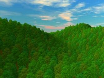 Natural Scenes