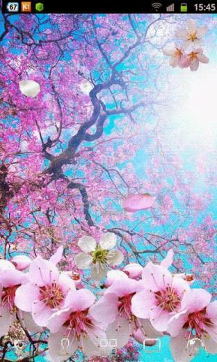 Samsung Galaxy S2 Wallpaper Live For