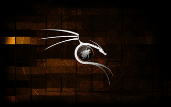 This Case A Dragon Back Track Wrapped Around Exploit Db Bug