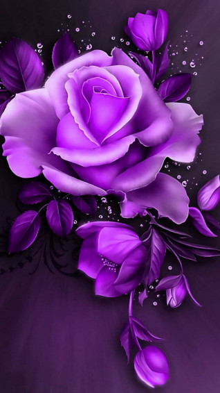 Purple Roses Wallpaper Pink iPhone Flower Phone