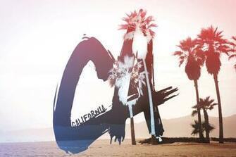 Palm Trees Photography Image Pictures Becuo