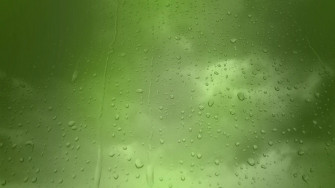Mint Wallpaper
