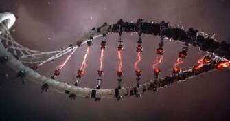 Droid Dna Live Wallpaper Image Pictures Becuo