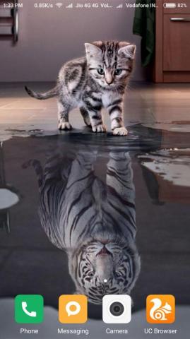 HD Tiger Wallpaper For Android Apk