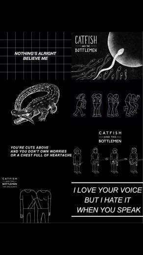 Catfishandthebottlemen Wallpaper Indie Indieband Aesthetic