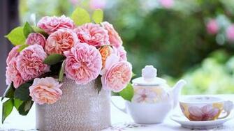 Relax Love Breakfast Flowers HD Flower Wallpaper Smart