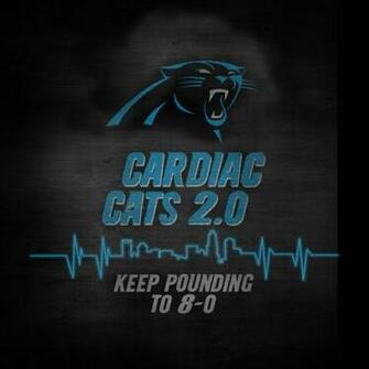 Cats Wallpaper For Pc And iPhone Carolina Panthers Huddle