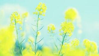 Bright Wallpaper