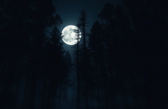 Dark Forest With Moon Wallpaper