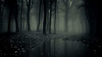 Dark Woods Wallpaper HD Pictures Live Hq
