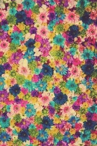 Flowers Everywhere Fundo Para Fotografia Imagem De