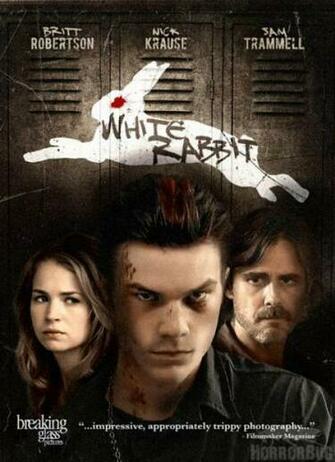 White Rabbit Will Be Playing In The Following Cities Starting
