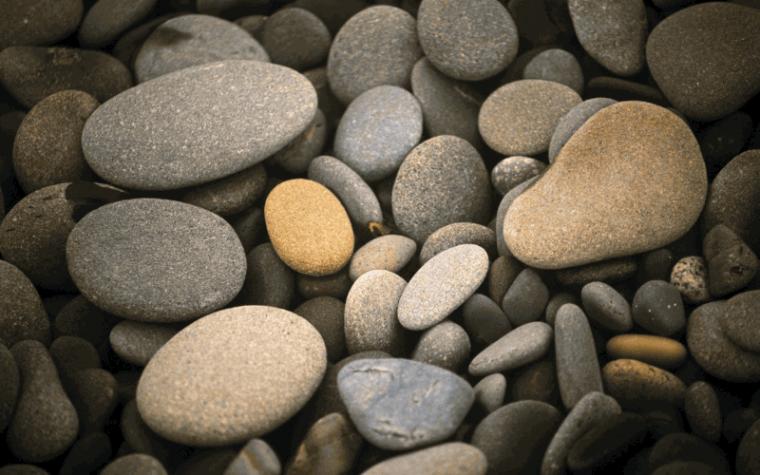 Pausenunterhaltung Frische Screensaver Bildschirmschoner F R