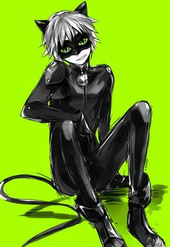 Chat Noir X Reader A Beautiful Sight By Itsnotapickupline