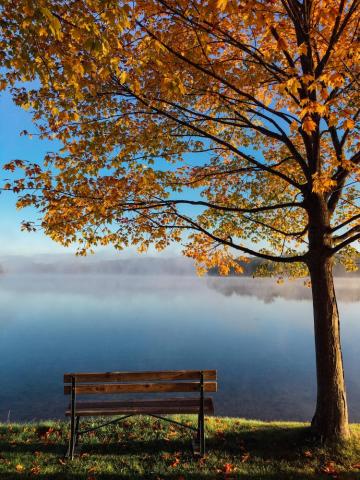 Autumn Wallpaper HD Hq