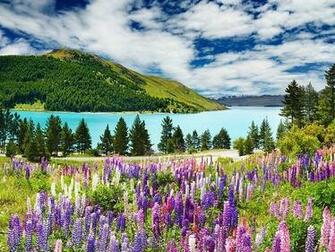 Desktop Fun Dreams Of Spring Wallpaper Collection