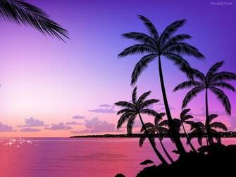 Descargar Fondos De Pantalla Amanecer Violeta Y Palmeras HD Widescreen