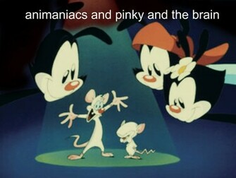 Animaniacs And Pinky The Brain By Falloutdaylenne