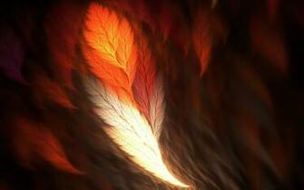 White And Orange Feather Abstract Feathers Fractal HD Wallpaper