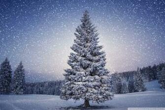 Winter Fairy Wallpaper Desktop High Resolution