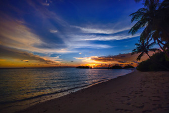 Beach Tree Sea Clouds 4k Laptop Full HD 1080p Wallpaper
