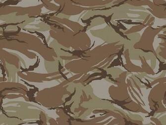 Texture Camouflage Desert