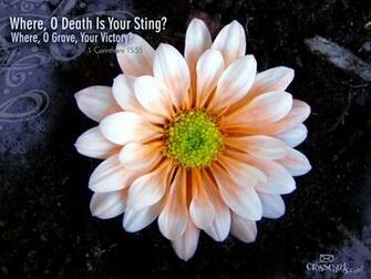 Sting Wallpaper Christian Scripture Verses