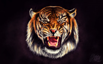 Tiger Pics Wallpaper