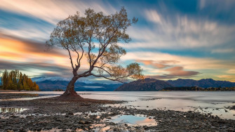 Landscape Mountains Lake Sky Clouds Tree Wanaka Wallpaper