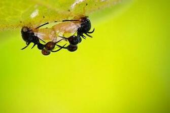 Discovery Channel By Surinameger
