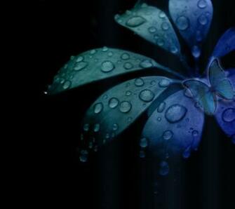 Mobile Wallpaper Motorola Xt Blue
