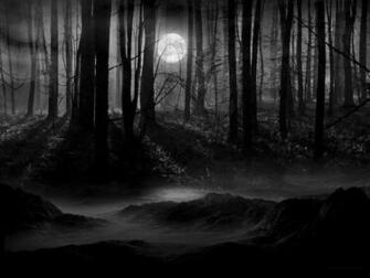 Moon Scenery Background Dark Forest Wallpaper Lunachild
