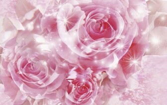 Pretty Pink Roses Wallpaper Color Photo