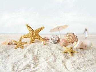 Star Fish Sea Shell Beach Wallpaper All