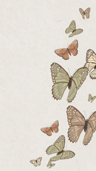 Butterfly iPhone Wallpaper Image