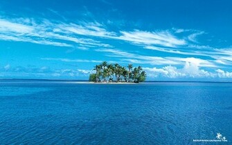 Descriptive Paragraph On The Ocean Mrs Smith S Third Grade Class