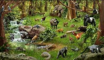 Disney Animal Kingdom Explorers Friends Of The Forest Our Guide To