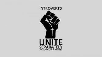 Quote Humor Minimalism Introvert Wallpaper