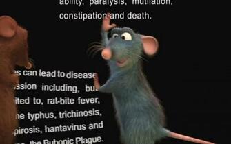Remy The Rat Wallpaper On