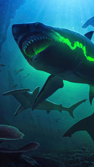 Shark Ocean Depth Digital Art H Phone 4k Wallpaper