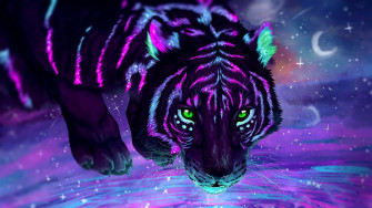 Get Lost In The Cool Animal Galaxy Wallpaper
