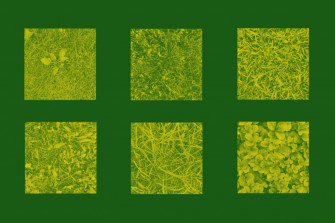 Grass Texture Photoshop Stamp Brushes By Artistmef Wallpaper